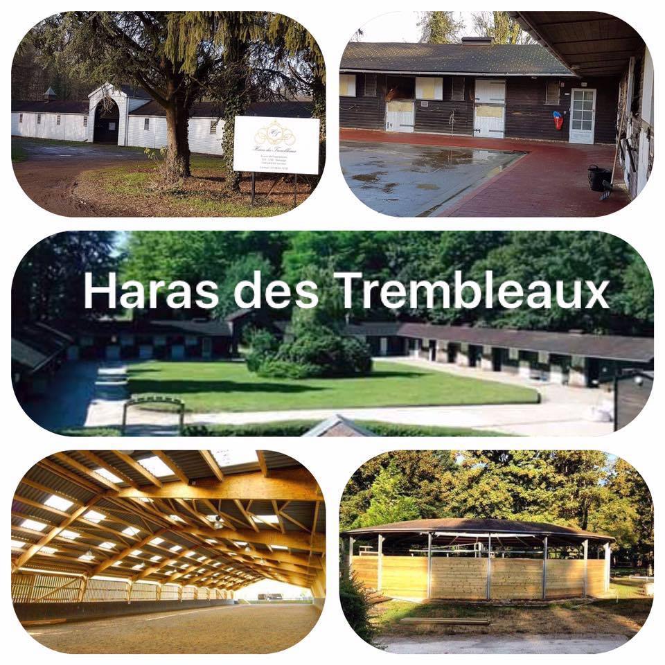 Haras des Trembleaux