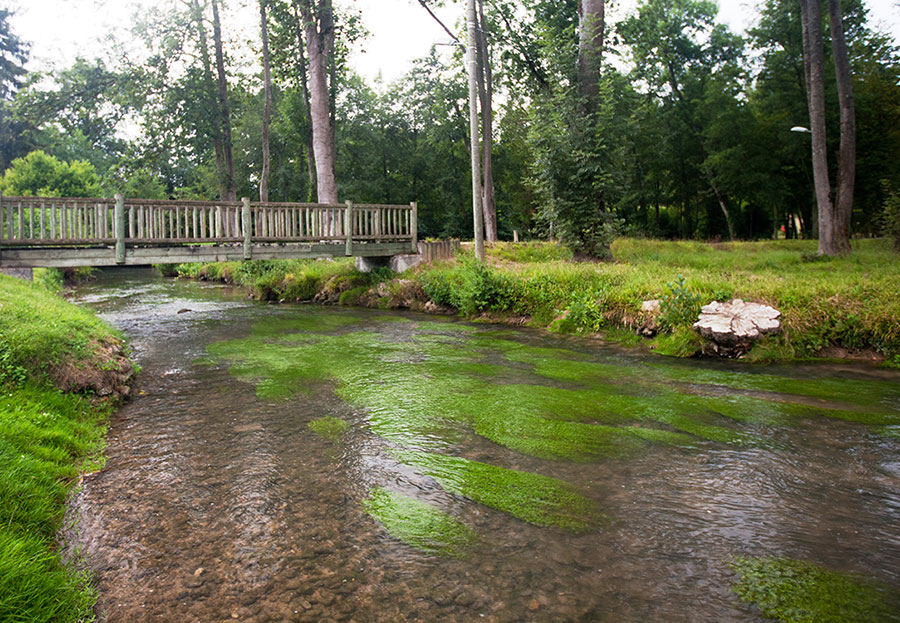 Forêt de Nanteau