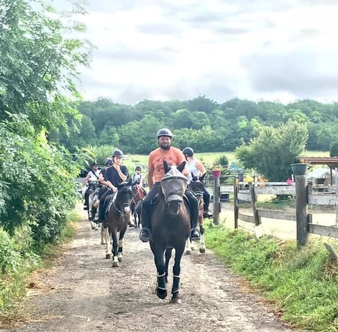 Ecurie Chauville equestre