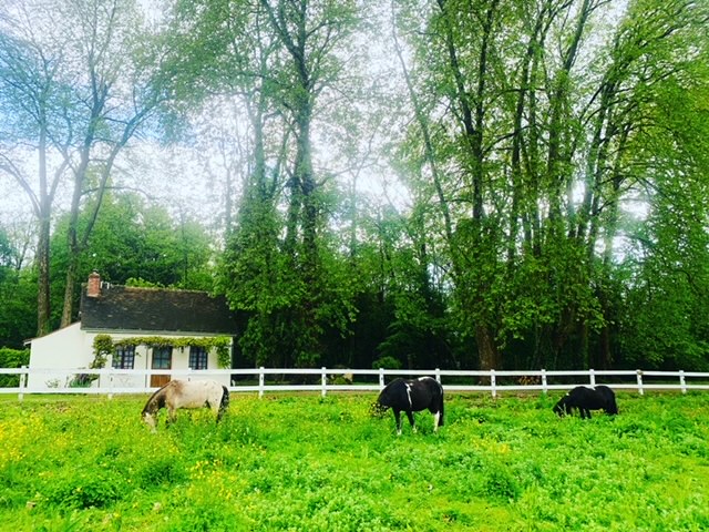 Gîte O’Lunain Nature et Rivière