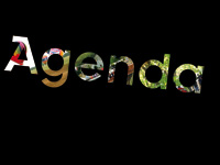 Agenda